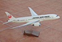 Photo: JAL - Japan Airlines, Boeing 787, JA822J